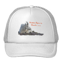 la sagesse commence dans la merveille casquette de camionneur