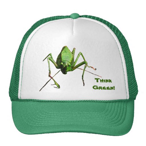 La sauterelle pensent le vert casquettes