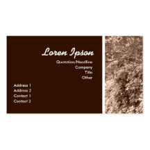 La sépia part d'II Cartes De Visite Professionnelles