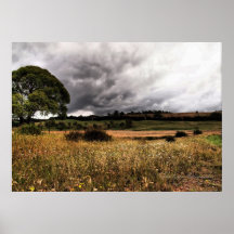 La terre brune large pour moi posters