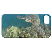 La tortue de mer verte, (des mydas de Chelonia), e Coque iPhone 5