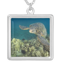 La tortue de mer verte, (des mydas de Chelonia), e Colliers Personnalisés
