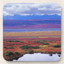 La toundra du parc national de Denali vers la fin  Dessous-de-verre
