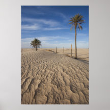 La Tunisie, désert du Sahara, Douz, grande dune, a Affiches