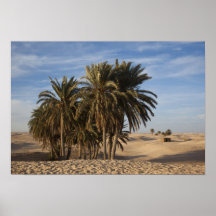 La Tunisie, désert du Sahara, Douz, grande dune, p Affiche