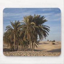 La Tunisie, désert du Sahara, Douz, grande dune, p Tapis De Souris