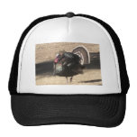 La Turquie Casquette De Camionneur