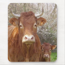La vache et son veau tapis de souris