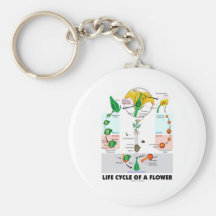 La vie Cyle d'une fleur (angiosperme) Porte-clef