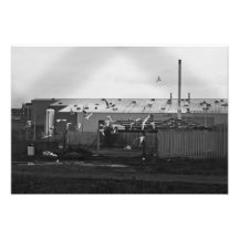 La vie dans des ruines modernes art photographique