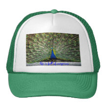 La vie de chapeau de paon est pleine des surprises casquette de camionneur