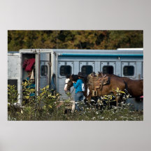 La vie du rodéo posters