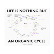 La vie n'est rien mais un cycle organique (le cycl toile tendue