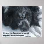 La vieille citation croissante border collie font 