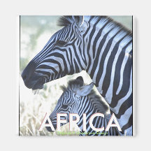 La_Zebra3a, AFRIQUE (Olumide H Gbadamosi) Magnets Pour Réfrigérateur