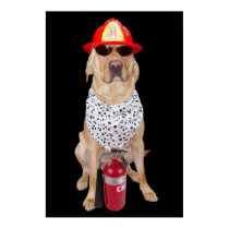 Laboratoire de bouche d'incendie posters