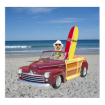 Laboratoire jaune heureux conduisant un Woodie posters