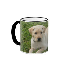 Laboratoire jaune tasse