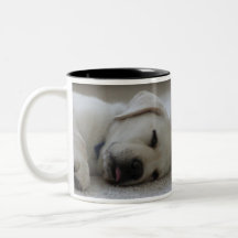 LABORATOIRE SOMNOLENT MUG À CAFÉ