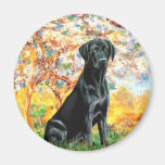 Labrador 1 - Ressort Magnets Pour Réfrigérateur