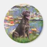 Labrador (Chcolate) - lis 2 Aimants Pour Réfrigérateur