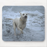 Labrador Mousepad Tapis De Souris