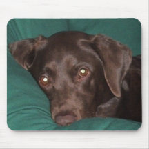 Labrador retriever tapis de souris