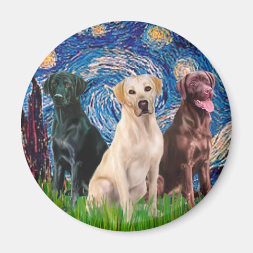 Labradors (3) - Nuit étoilée Aimant Pour Réfrigérateur