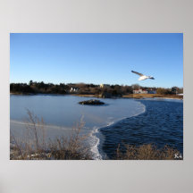 Lac à moitié congelé affiches