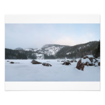 Lac bear impressions photo