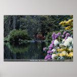 Lac Rozelle, Ayr, Ecosse Posters