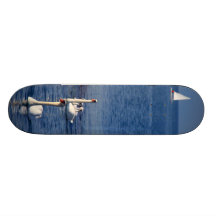 Lac swan skateboards