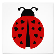 ladybugz. cartons d'invitation