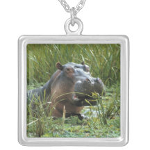 L'Afrique, Kenya, masai Mara NR. Un hippopotame de Collier