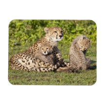 L'Afrique. La Tanzanie. Mère et petits animaux 2 d Magnet Souple