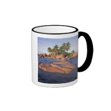 L'Afrique, l'Océan Indien, Seychelles, Praslin Tasses