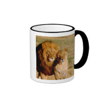 L'Afrique, Namibie, Okonjima. Lion et lionne Tasse