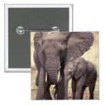 L'Afrique, Tanzanie, parc national de Tarangire. 2 Badges Avec Agrafe