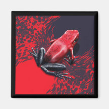 L'aimant Pumilio de poison