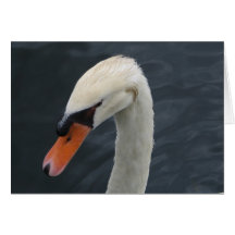 Laissez moi le charlatan seul carte de vœux