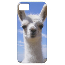 Lama Cria de lis Coques iPhone 5 Case-Mate