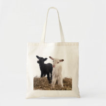 lamb sac en toile