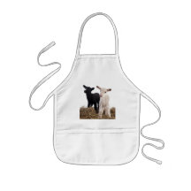 lamb tablier