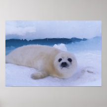 L'Amérique du Nord, Canada, Québec, La 2 d'Iles De Posters