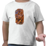 L'Amérique du Nord, Etats-Unis, Utah, canyon de Br T-shirts