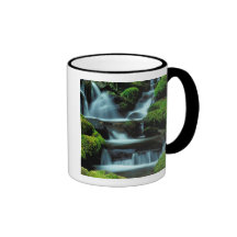 L'Amérique du Nord ; LES Etats-Unis ; Washington,  Tasse À Café