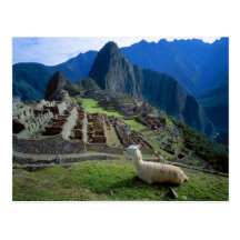 L'Amérique du Sud, Pérou. Un lama se repose sur un Cartes Postales
