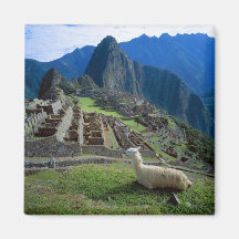L'Amérique du Sud, Pérou. Un lama se repose sur un Aimant