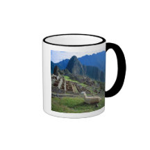 L'Amérique du Sud, Pérou. Un lama se repose sur un Tasse À Café