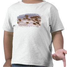 L'Amérique du Sud, Venezuela, région de Llano T-shirt